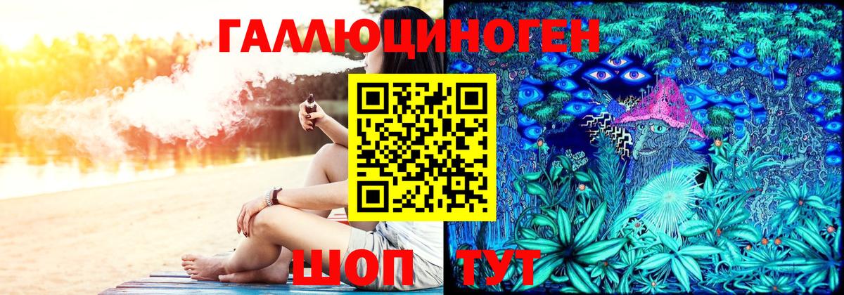Псилоцибиновые грибы Psilocybine cubensis Добрянка