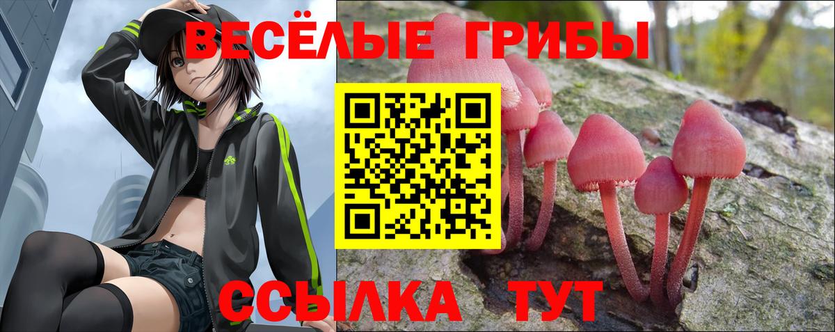 Добрянка  Галлюциногенные грибы мухоморы  Вход с VPN 